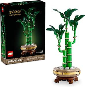 Lucky Bamboo - 10344