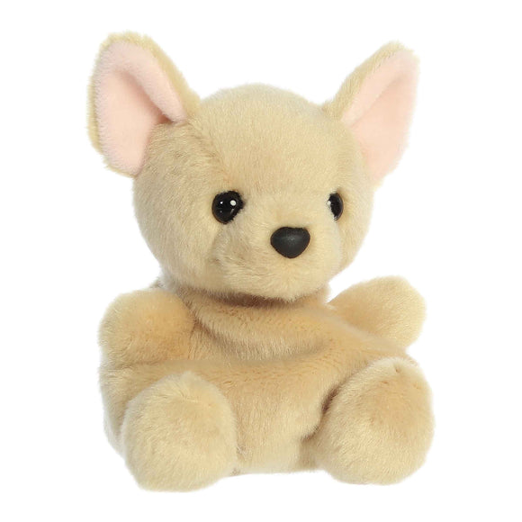 PALM PALS - COOKIE CHIHUAHUA 5