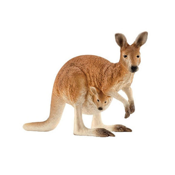 Kangaroo