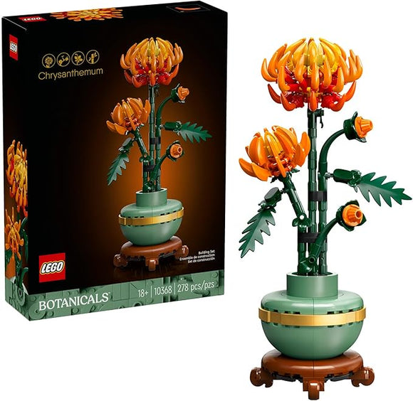 Chrysanthemum - 10368