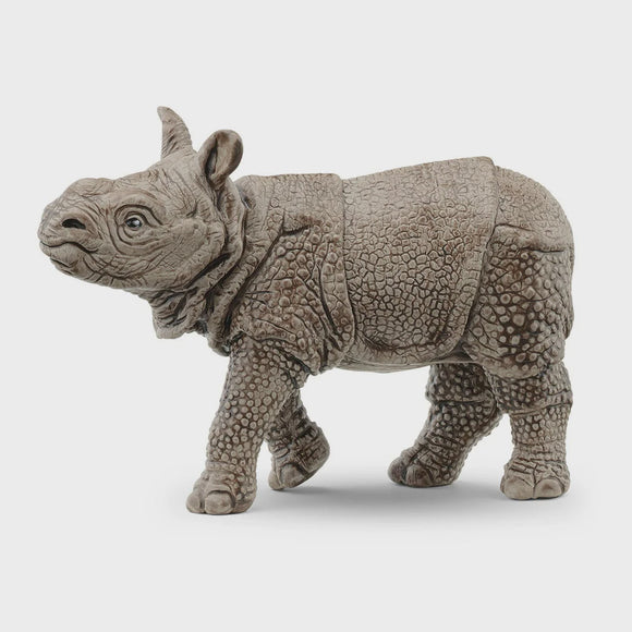 Indian rhinoceros baby