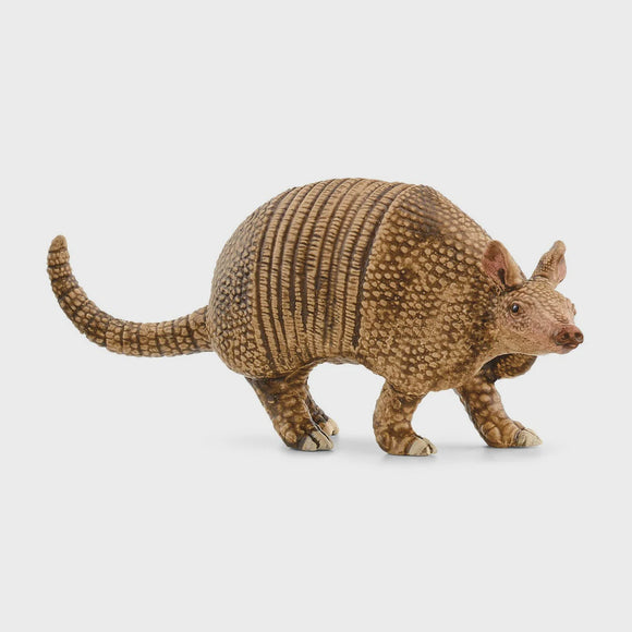 Armadillo