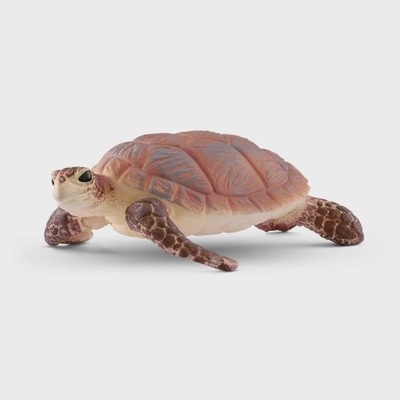 Hawskbill sea turtle