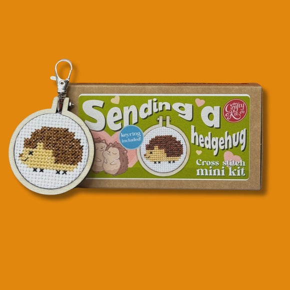 Sending a Hedgehug Mini Cross Stitch Kit