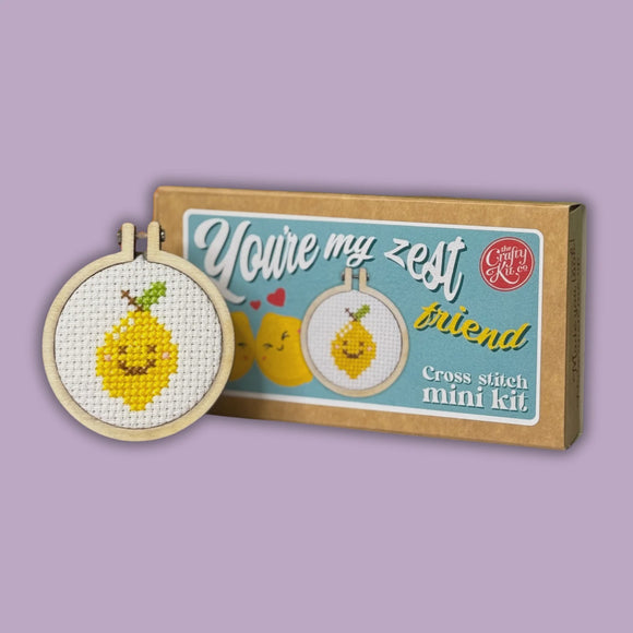 You're My Zest Friend Mini Cross Stitch Kit