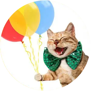 We’re Balloonologists at Kaboodles Toy Store (cat with Balloons)