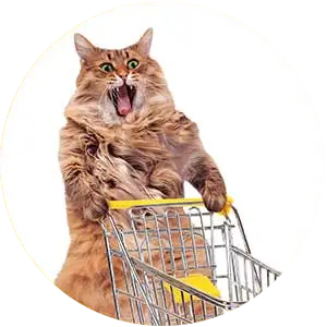 Refunds + Exchanges at Kaboodles Toy Store (cat with shopping cart)