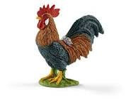 Rooster