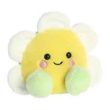 PALM PALS - DEON DAISY 5