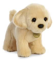 MIYONI - TOTS - GOLDEN LAB PUP 10