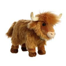 MIYONI - HIGHLAND CATTLE 10
