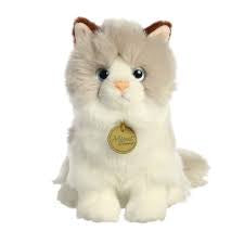 MIYONI - RAGDOLL CAT 9