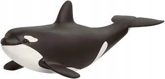 Killer Whale
