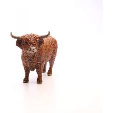 Highland Bull