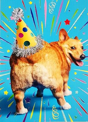 Corgi Butt Birthday Card