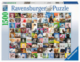 Ravensburger 99 Cats 1500pc Puzzle at Kaboodles Toy Store Vancouver