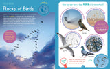 Backpack Explorer: Bird Watch Book at Kaboodles Toy Store Vancouver