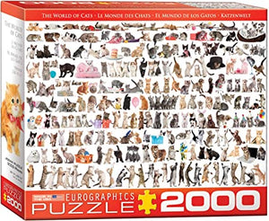 Eurographics The World of Cats 2000 pc