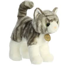 Aurora Miyoni Grey Tabby Cat