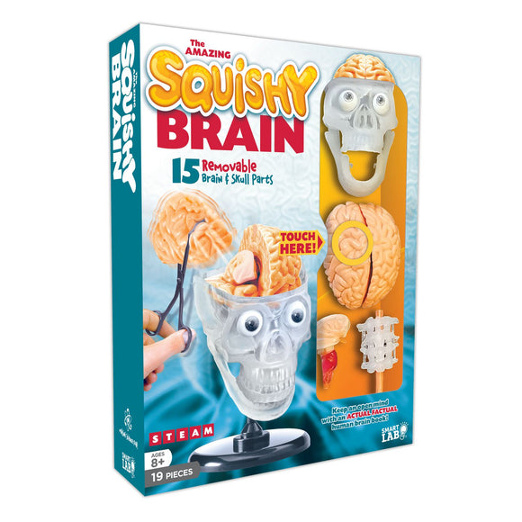 Smart Lab The Amazing Squishy Brain kit