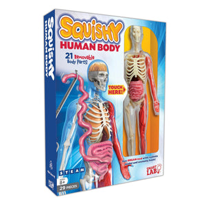 Smart Lab Squishy Human Body kit